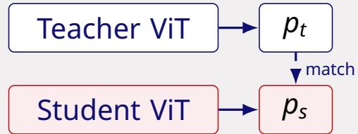 Two augmented views pass through teacher and student; the student matches the teacher's distribution