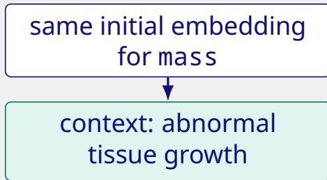 The same token "mass" gets different attention weights in two sentences