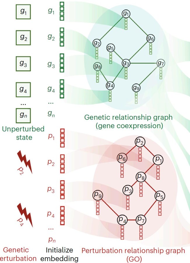 The pathology workflow from request to report, and where AI can intervene