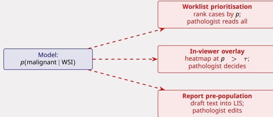 One model, three products: prioritisation, overlay, and report pre-population