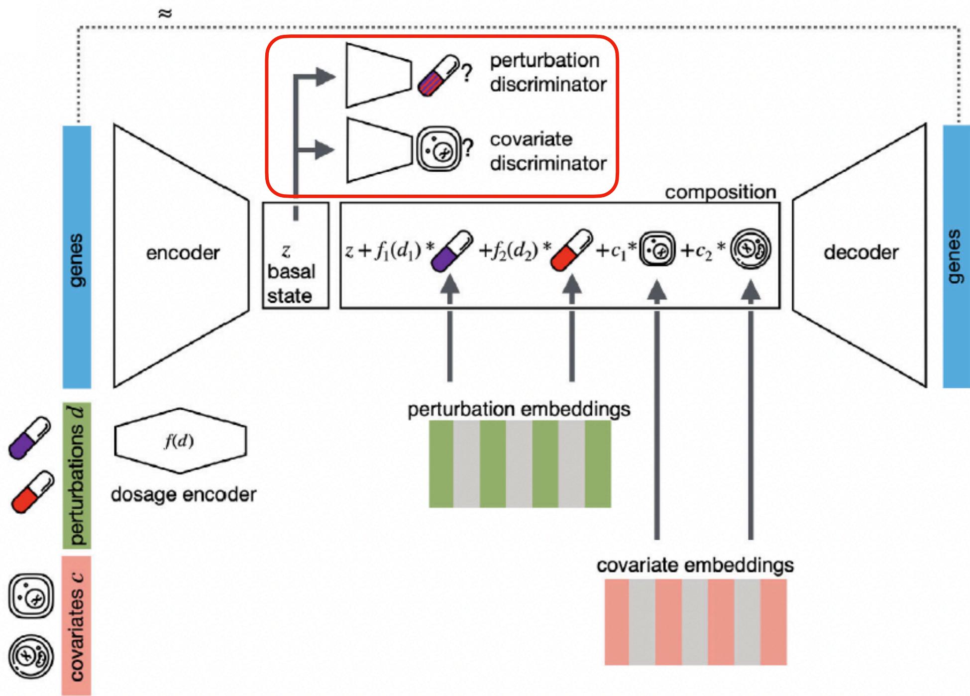 CPA adversarial disentanglement: discriminators try to predict perturbation and covariates from the basal state