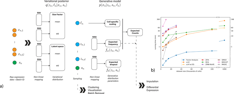 scVI model diagram: variational posterior and generative model with latent space z, size factor, batch, ZINB outputs